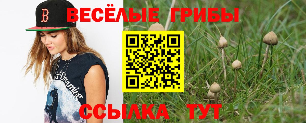 Галлюциногенные грибы прущие грибы Красноуфимск