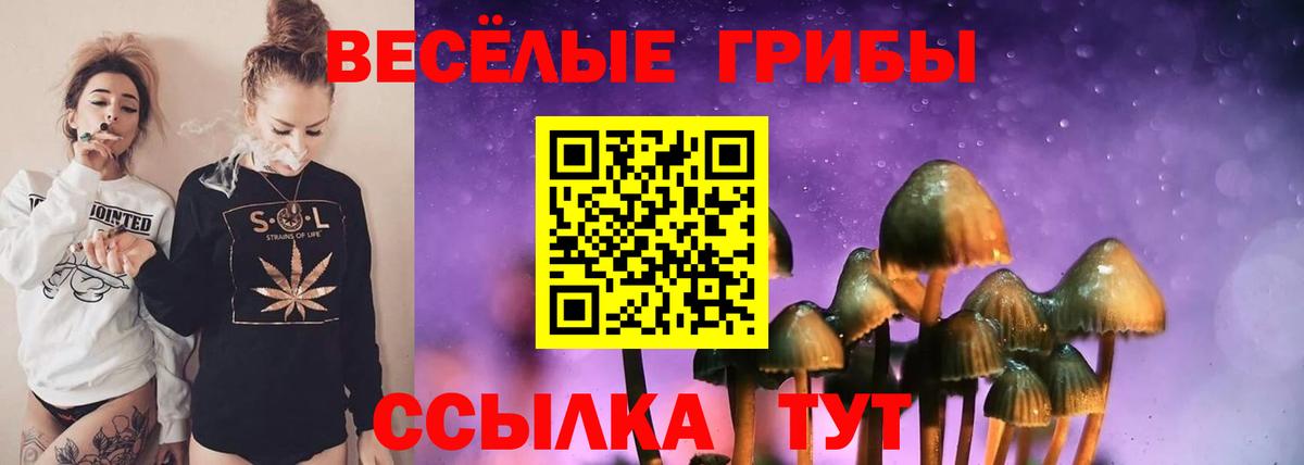Псилоцибиновые грибы прущие грибы  Галлюциногенные грибы MAGIC MUSHROOMS  Красноуфимск  Вход с VPN 